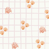 Seashell Wallpapers