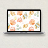 Seashell Wallpapers