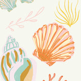 Seashell Wallpapers